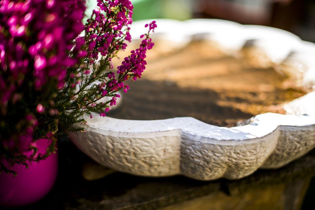 Feng Shui Wellness Apartmanhaz Hévíz Екстериор снимка