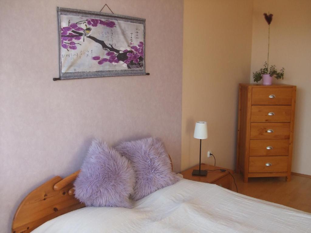 Feng Shui Wellness Apartmanhaz Hévíz Екстериор снимка