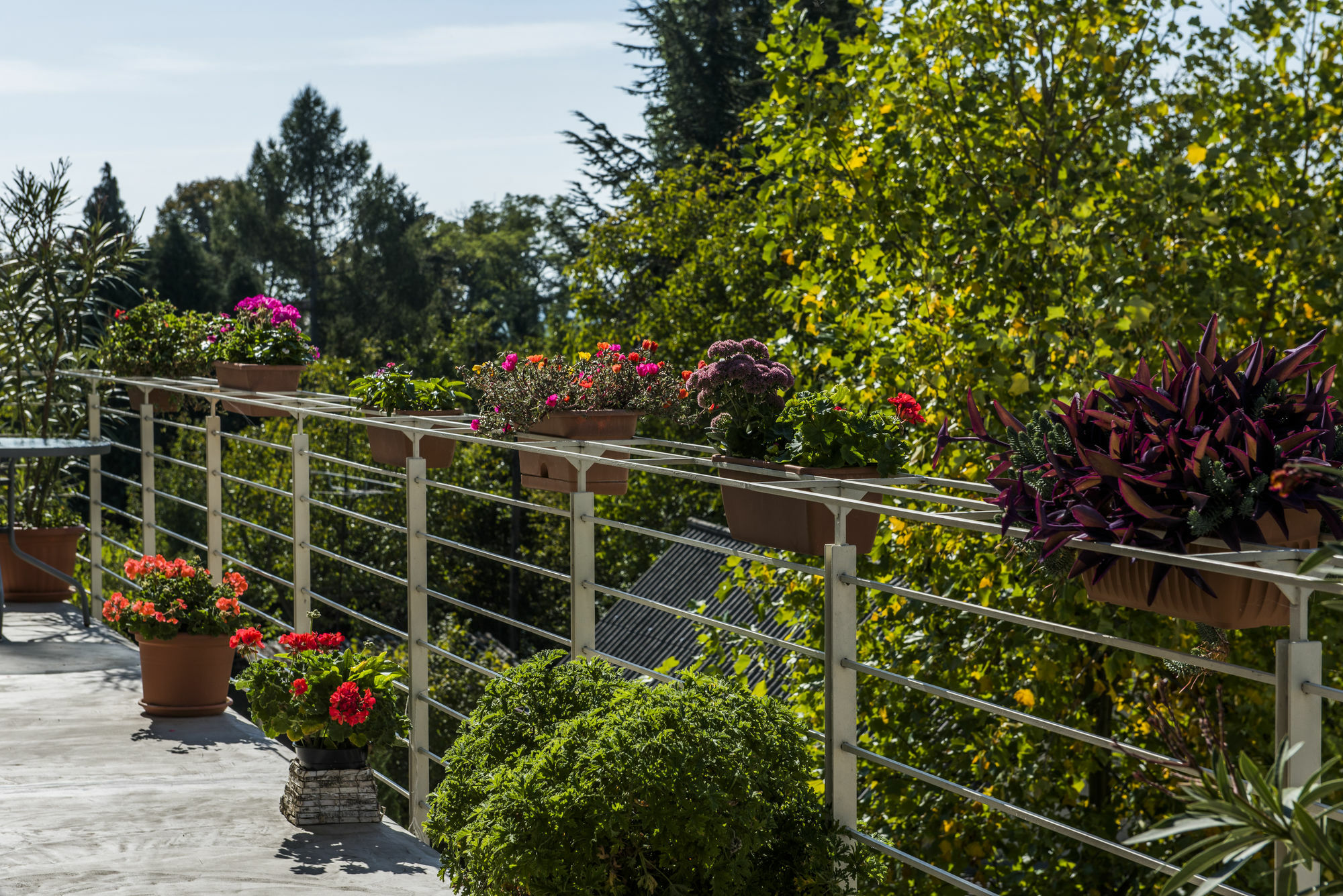 Feng Shui Wellness Apartmanhaz Hévíz Екстериор снимка